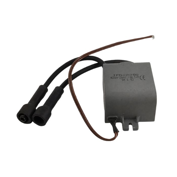 WELTEM Ignition Transformer